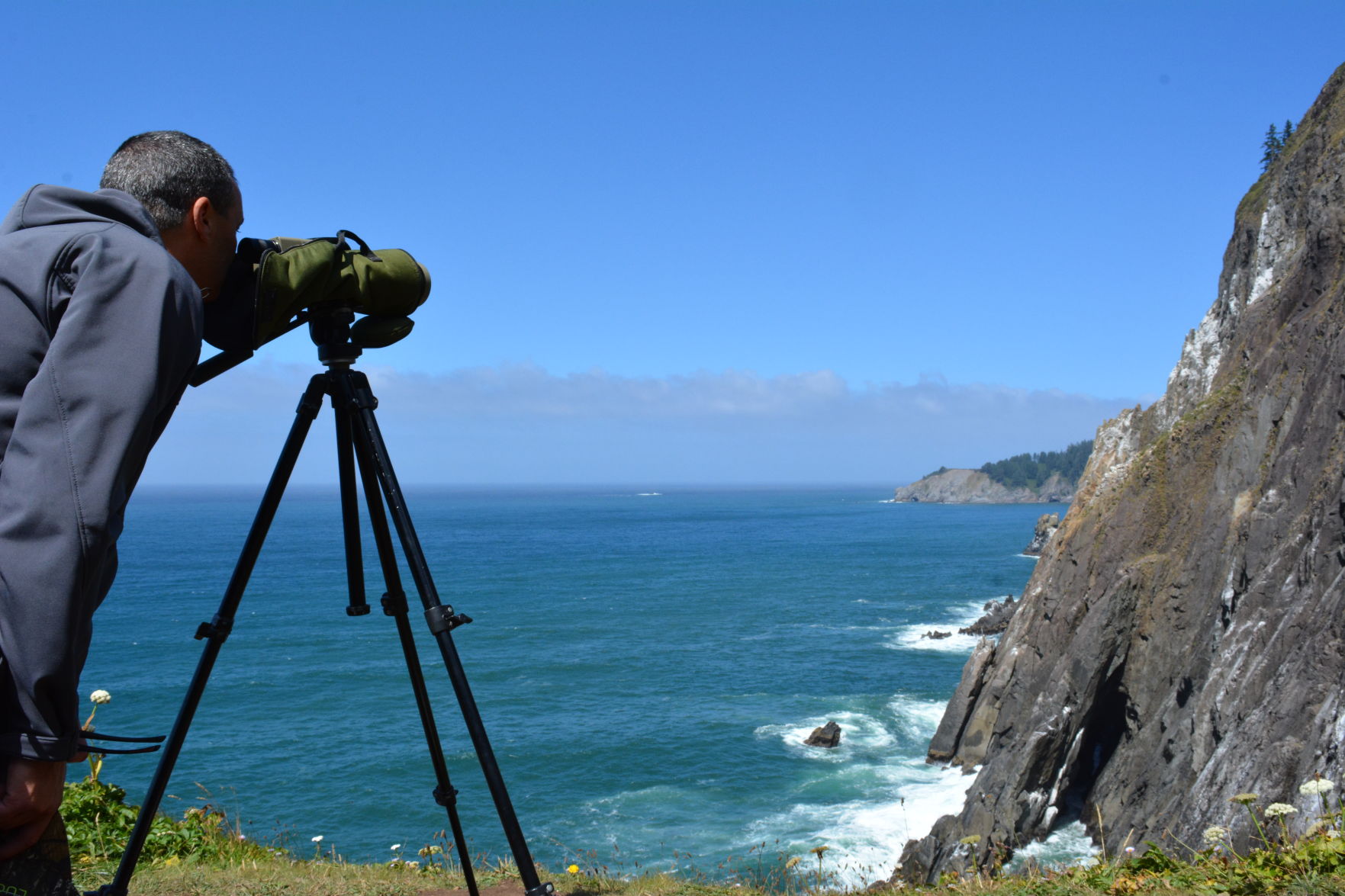 Bird Monitoring Training held at Cannon Beach City Hall June 8_submitted photo.JPG